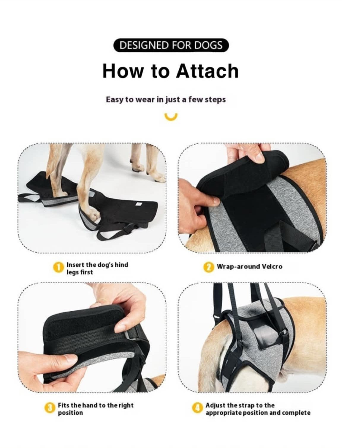 Steady Steps Support Harness — a helping hand for the dog who's slowing down